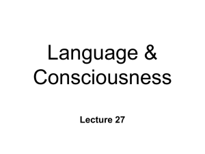 Language & Consciousness