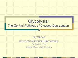 Glycolysis: The Central Pathway of Glucose Degradation