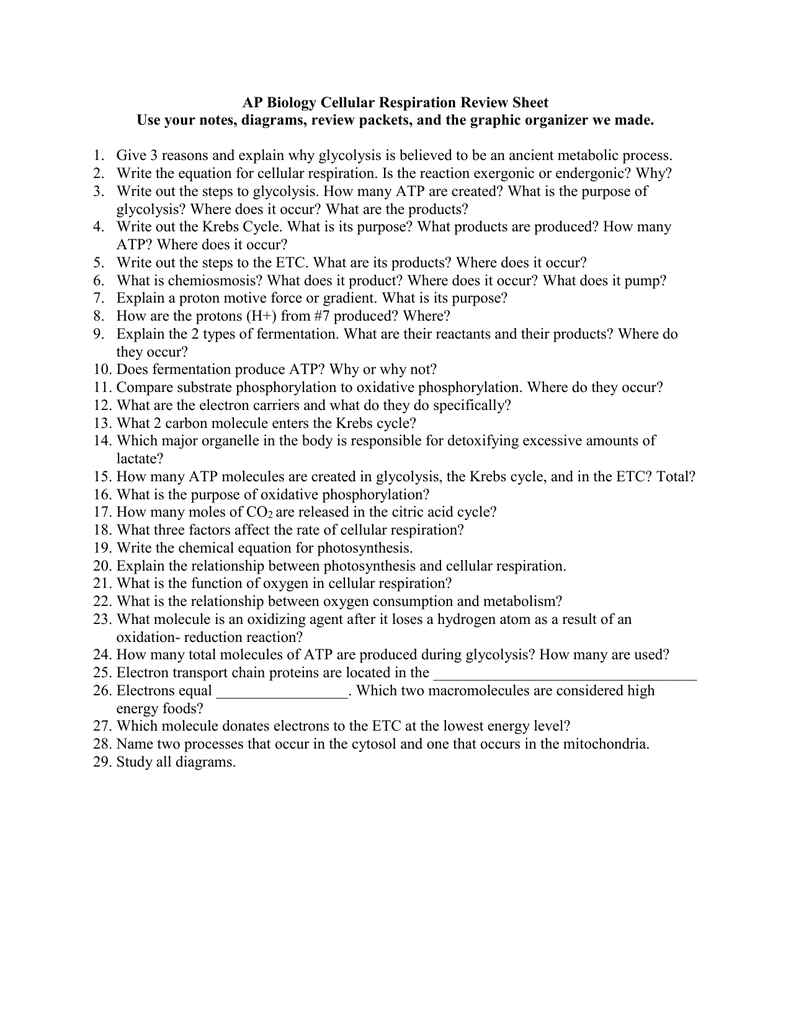 AP Biology Cellular Respiration Review Sheet Use your notes Throughout Cellular Respiration Review Worksheet