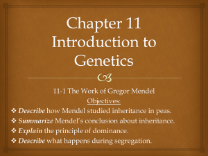 Chapter 11 Introduction to Genetics