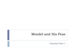 U7S1 Mendel and his Peas