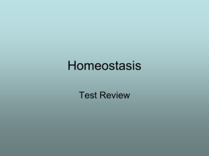 Homeostasis Powerpoint Review