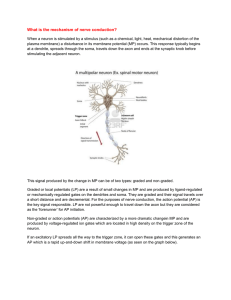 What is the mechanism of nerve conduction - PBL-J-2015