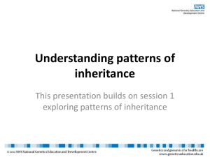 Understanding patterns of inheritance (PowerPoint presentation)