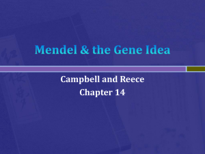 Mendel & the Gene Idea