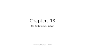 Chapters 12 & 13