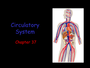 Circulatory System - Mr. Lambdin's Biology