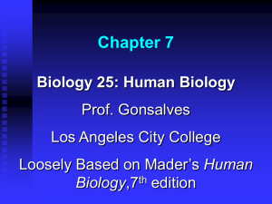 Chapter 7 - Los Angeles City College