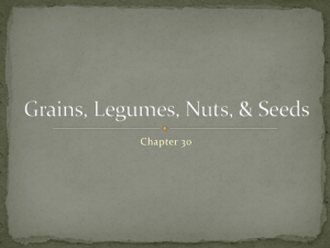 Grains, Legumes, Nuts, & Seeds