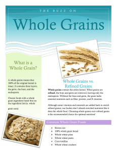 What is a Whole Grain? - Jacqueline Farrall Portfolio