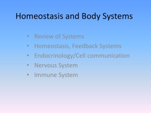 Homeostasis and Body Systems (Anatomy and Physiology)