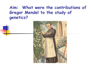 Mendel's Contribution
