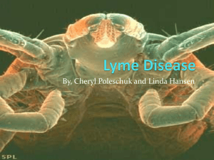 Lyme Disease - Winona State University