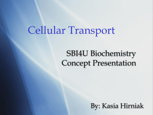 CP Cell Transport