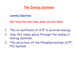 ATP is a most important compound. Explain why ATP plays such a