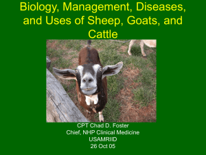 Biology, Management, and Diseases of Goats