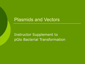 Plasmids and Vectors