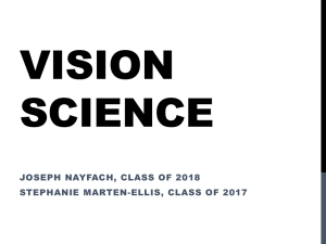 PPT - Vision Science I
