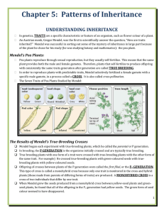 Mendel's Pea Plants