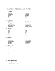 CHAPTER 6: THE SKELETAL SYSTEM A. Labeling 1. sternum 6