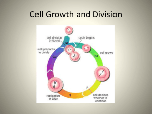 Cell Division and Intro to Genetics