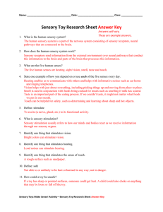 Sensory Toy Research Sheet Answer Key
