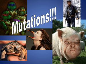 Mutations PPT