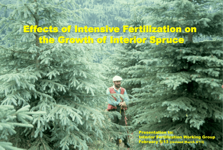 No Slide Title Fertilization No Slide Title Fertilization