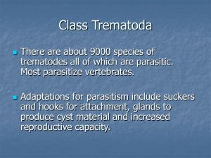 Topic 7 Platyhelminthes II - Plattsburgh State Faculty and Research