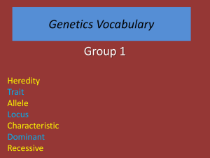 Genetics Vocabulary