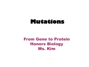 Mutations - Ms Kim's Biology Class