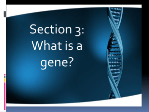Genes and Mutations