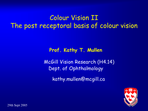 Prof. Kathy T. Mullen - McGill Vision Research