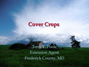 Cover_Crops - smallfarmsuccess.info
