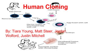 Human Cloning - West Branch Schools