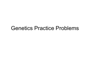 Genetics Practice Problems