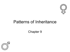 Ch 9 Patterns of Inheritance