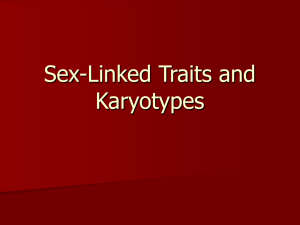 Karyotypes and Sex linked