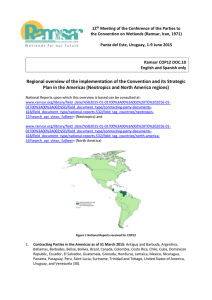 Ramsar Regional Report Neotropics