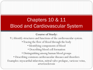 Chapters 10 & 11 Blood and Cardiovascular System