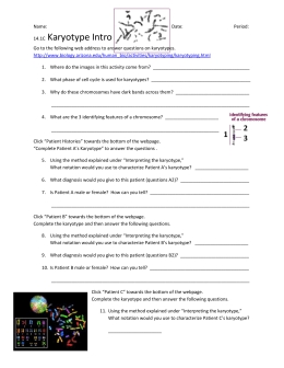 Karyotyping Activity