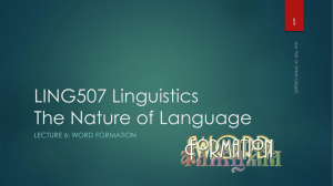 LING507 Linguistics The Nature of Language