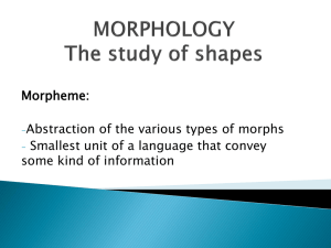 MORPHOLOGY= The study of shapes - Mersin University Linguistics