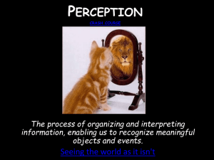Perception - Cobb Learning