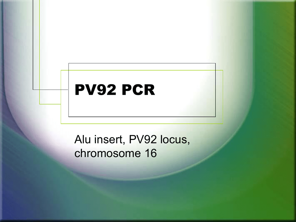 Pcr Lab Analyzing The Alu Pv92 Genetic