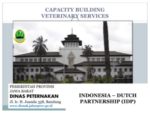 Capacity building veterinary service