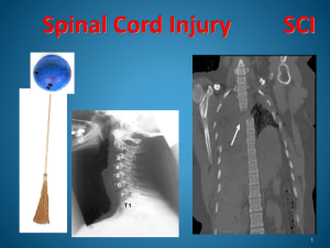 Spinal Cord Injury Snap I