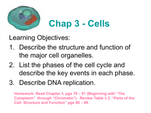Chapter 3 - Cells of the Human Body
