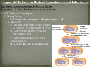 Chpt. 8-Cell Reproduction - TJ