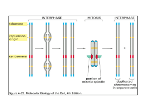 Chromosome Structure 2012